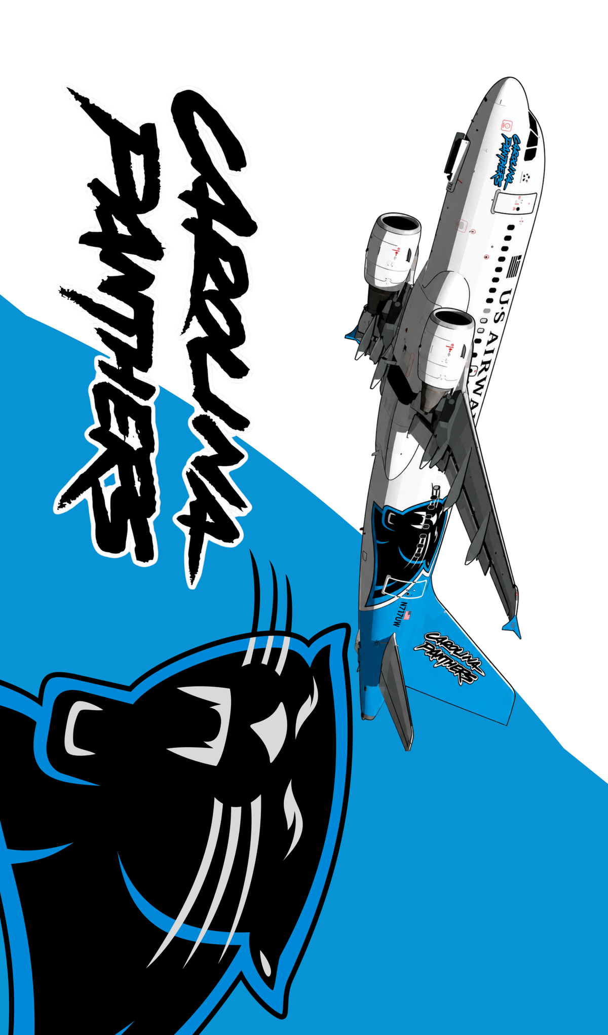 South Florida Aviation US Airways Carolina Panthers Bag Tag